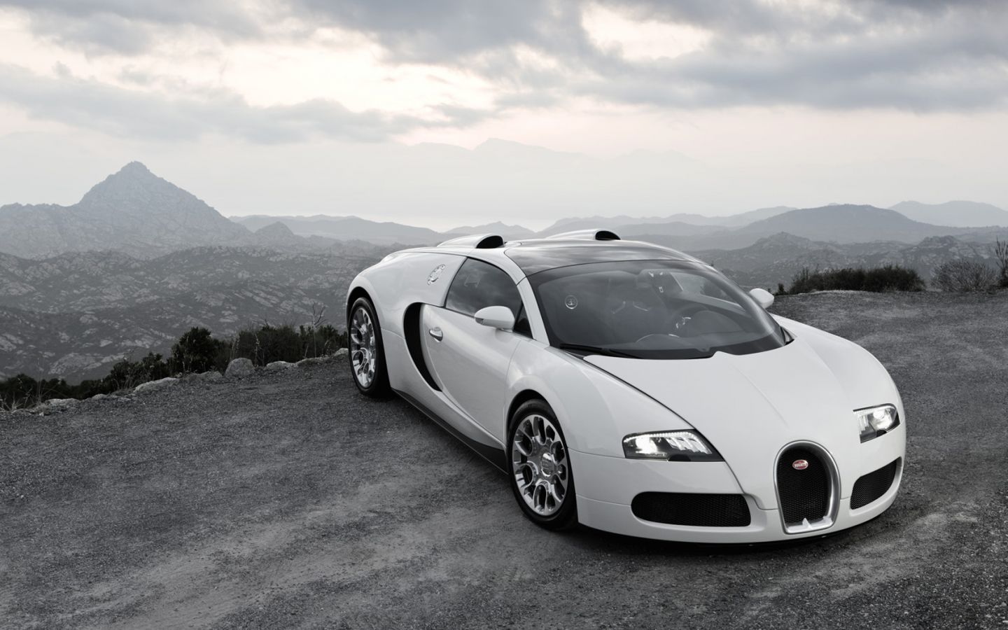 Veyron White Front High Angle Wallpaper 1440x900